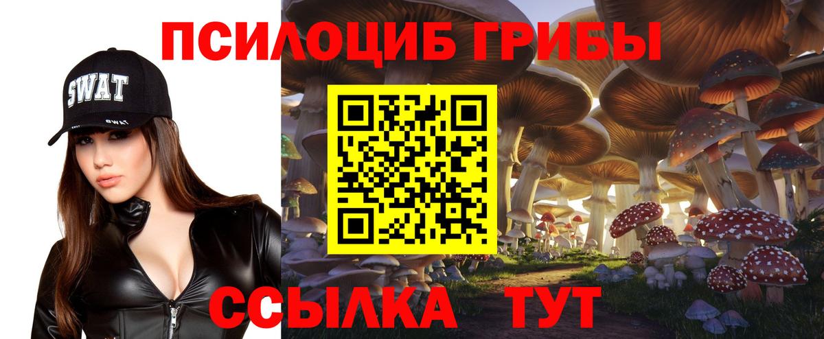 Галлюциногенные грибы GOLDEN TEACHER Гулькевичи