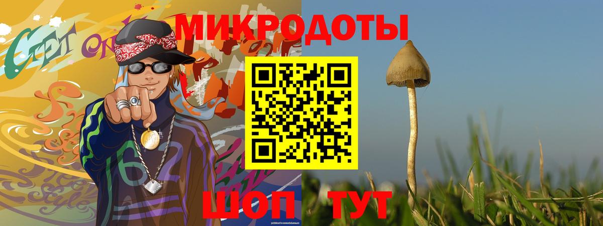 Галлюциногенные грибы GOLDEN TEACHER  Вход с VPN  Гулькевичи 